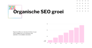 Organische webshop SEO groei chart